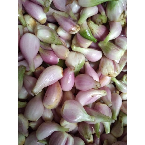 bawang merah sumenep 1kg (kupas/tidak dikupas)