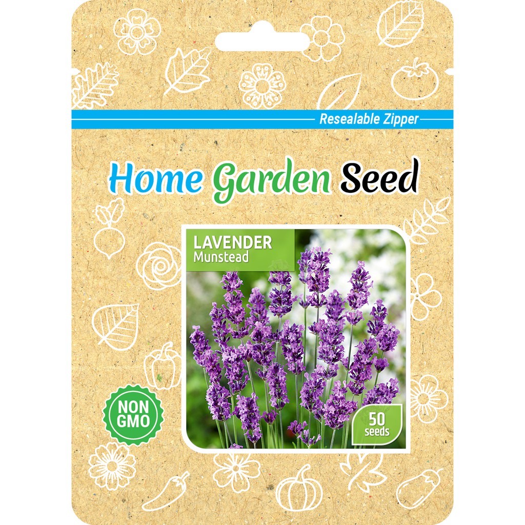 Benih Lavender Munstead - Bunga Lavender - Home Garden Seed