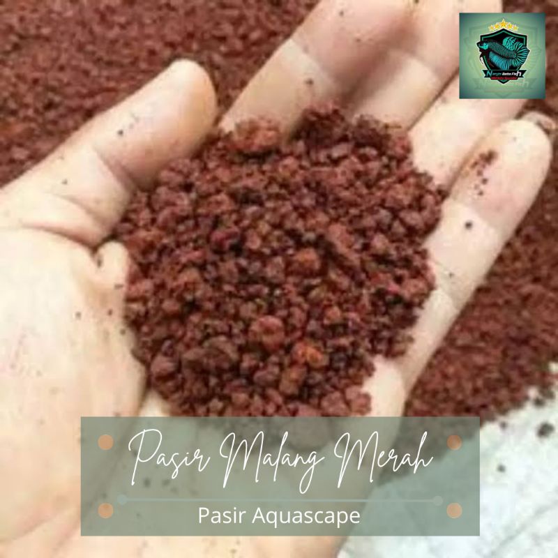 Pasir Malang Merah Untuk Aquascape/Pasir Malang Merah
