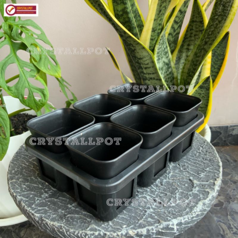 1 set Tray + POT BUNGA NKT KOTAK 7 CM HITAM | tray semai bibit