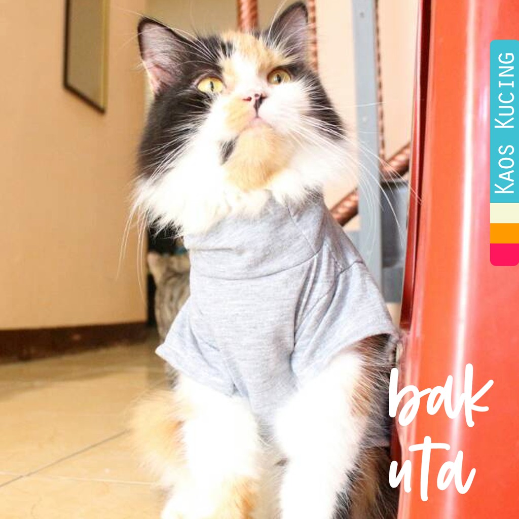 Kaos ala korea turtleneck untuk kucing dan anjing /Jual Baju Kucing Terlengkap &amp; Murah size S-XL