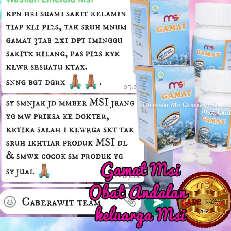 Jual GAMAT MSI (Tripang Emas) Shopee Indonesia