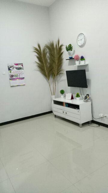 Bunga Kering Bundle Isi 2 /daun Kering /bunga Hias /natural Leaf