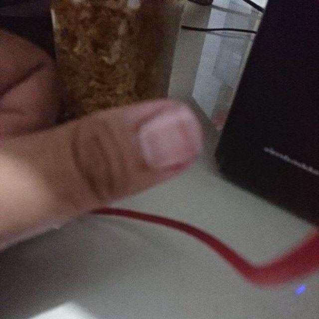 It-6 Ice Tray 002 / Cetakan Es Batu Lion Star