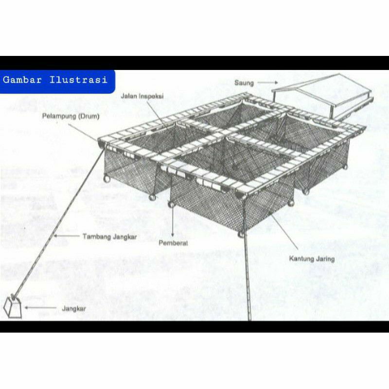 keramba jaring apung keramba ikan budidaya ikan