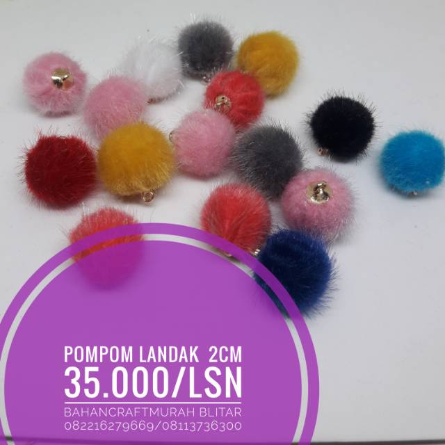 Pompom korea