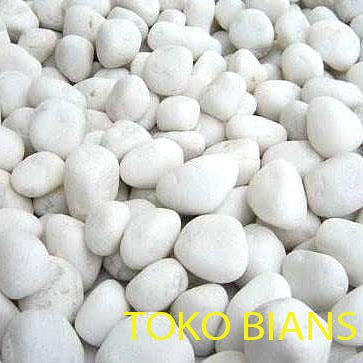 batu coral putih italy