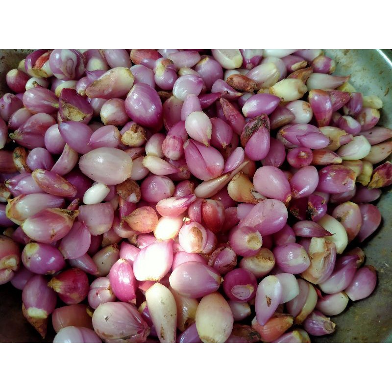 

bawang
