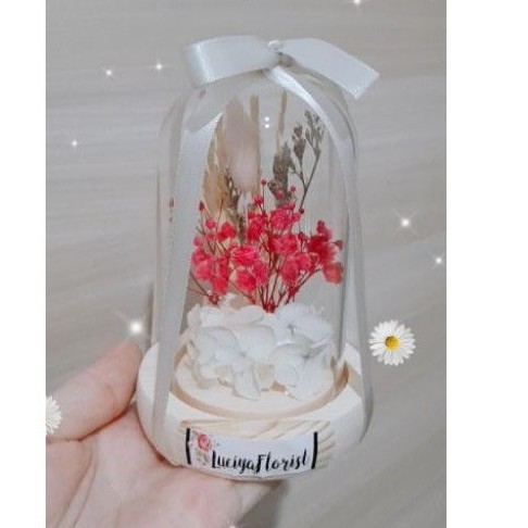 [MINI] Luciya Glass Dome / Flowers Glass Dome / Dried flowers Glass Dome / Bunga kering
