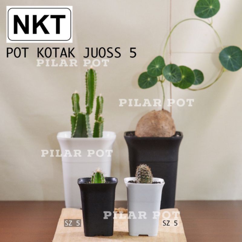 pot bunga tanaman mini kotak juoss 5cm - nkt kotak mini