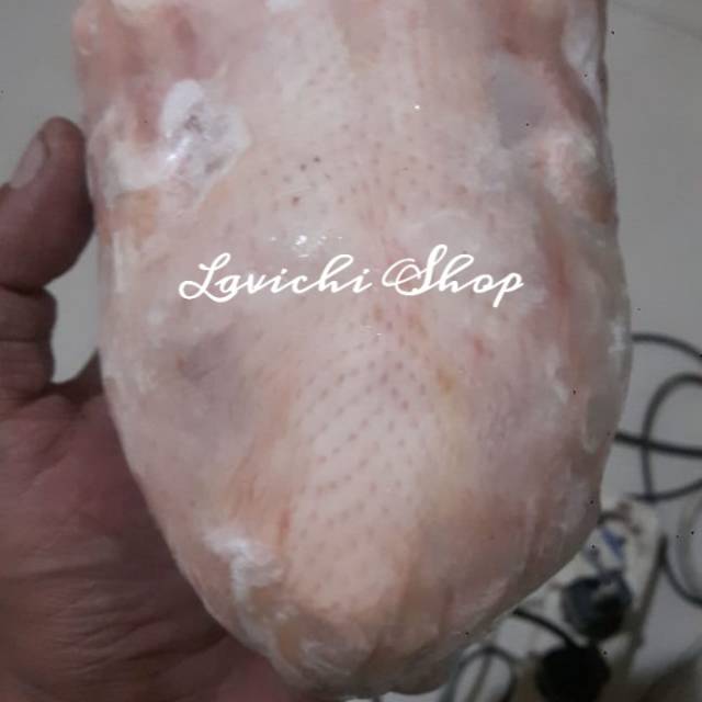 

FROZEN AYAM PREMIUM