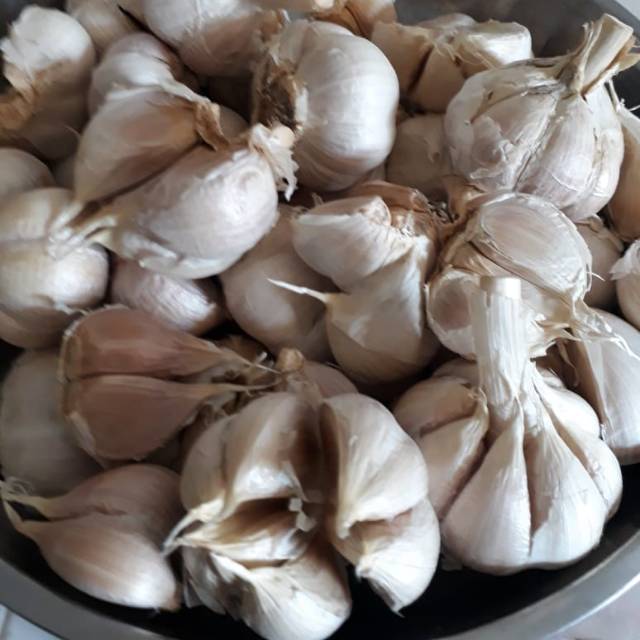 

BAWANG PUTIH KATING BERSIH PER 1/2KG