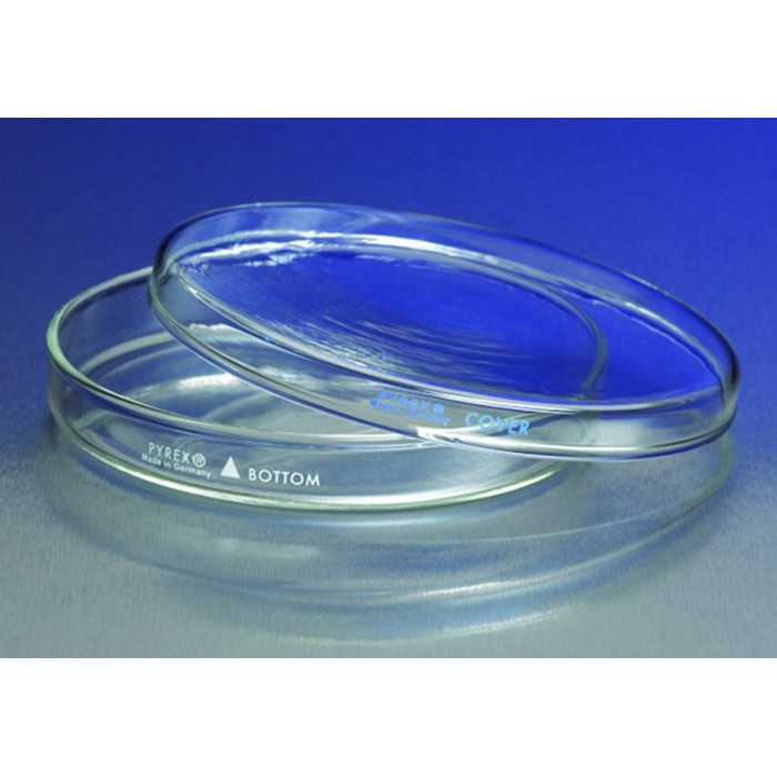 PYREX 3160-100 Petri Dish 100x10 | Cawan Petri original