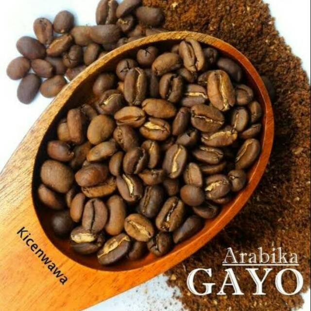 

Kopi Arabica Gayo