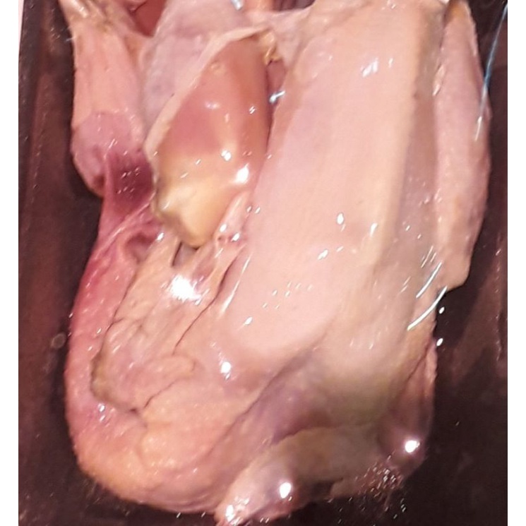 

ayam kampung fresh pack 1 ekor