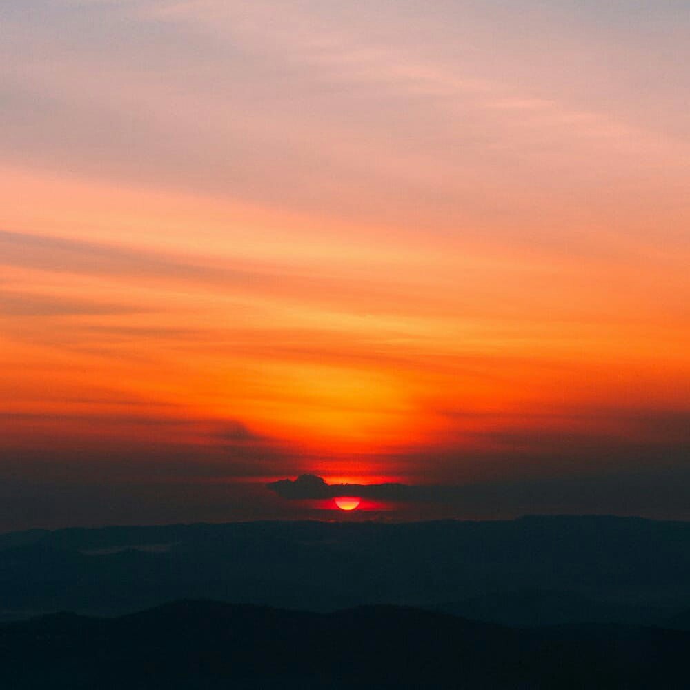 Maginot Kemeja Batik Pria Nandana-ls Lengan Panjang