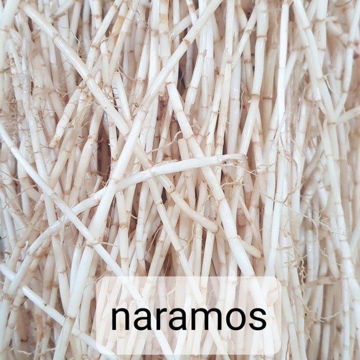 

akar alang alang segar 1kg