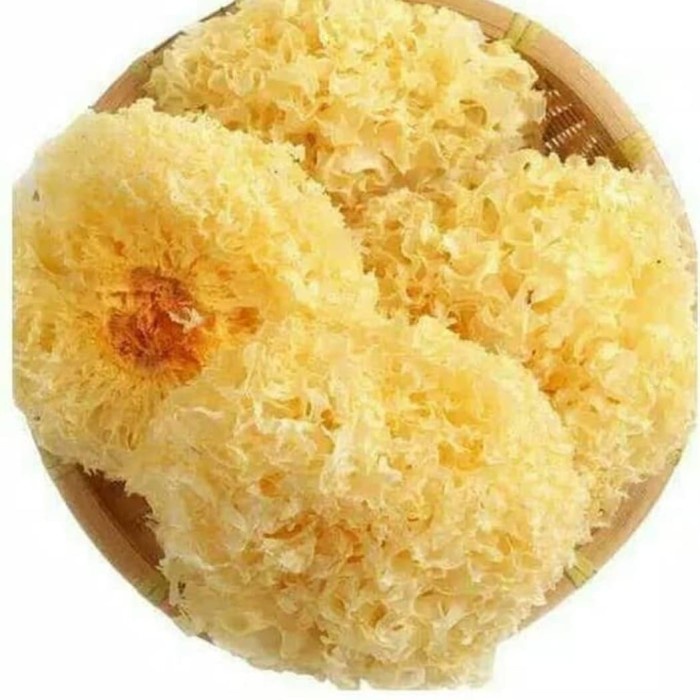 Jual Jamur Salju Jamur Putih Snow White Fungus 500 G Indonesia