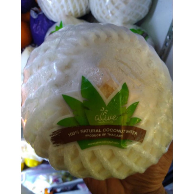 

COCONUT THAILAND/pcs