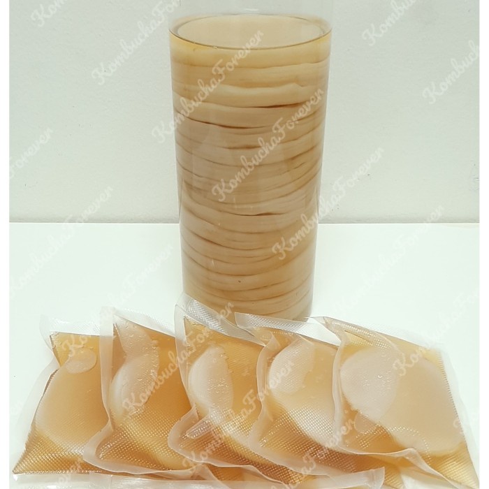 

✨COD✨ Bibit Scoby Jamur Kombucha Premium Organik