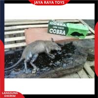 Lem Tikus / Jebakan Tikus / Cobra / Lem Tikus Cobra Super Lengket Ampuh &amp; Berkualitas Bisa Cod