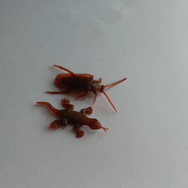 Mainan Anak Kecoa Dan Kadal