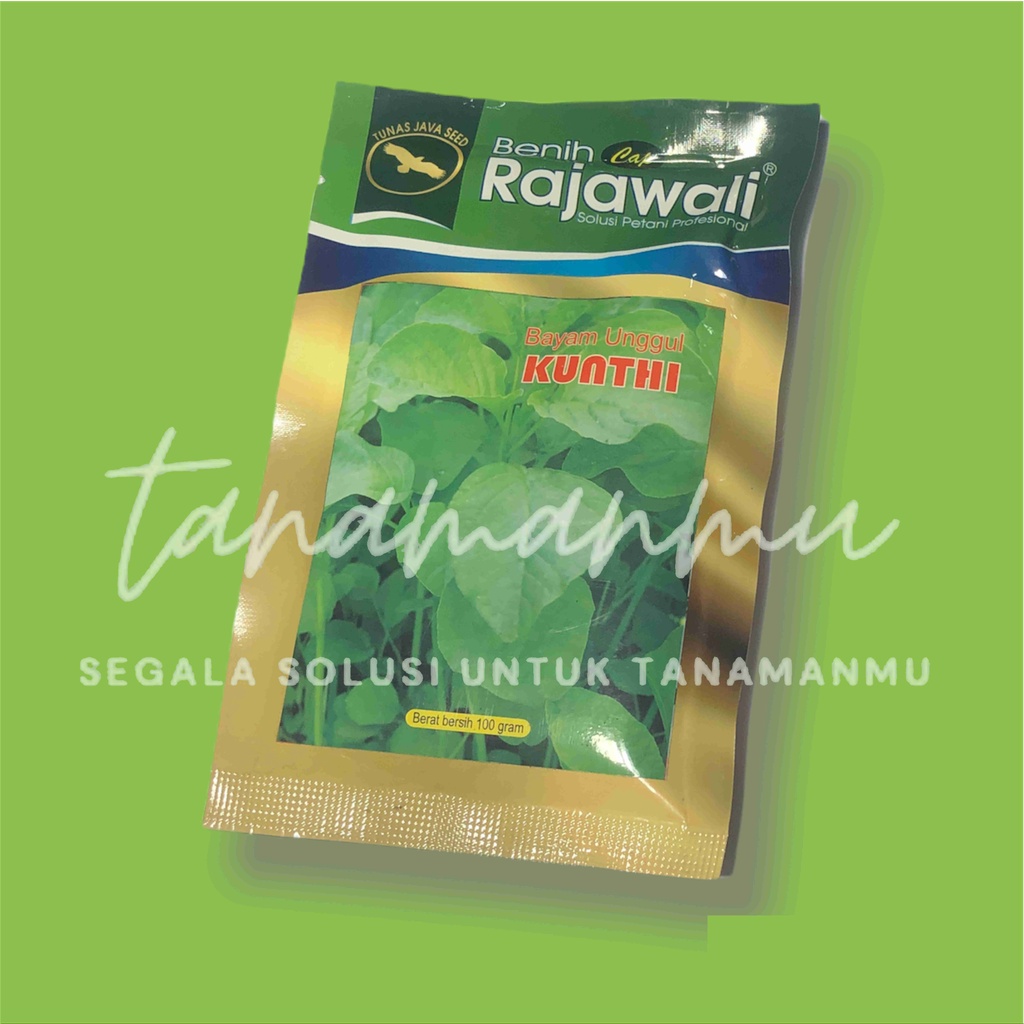Benih Bayam Kunthi (Cap Rajawali) 100 gram