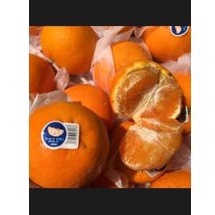 

BUAH JERUK MURCOT 1/2KG