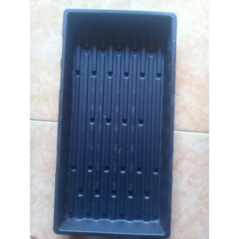 alas tray semai