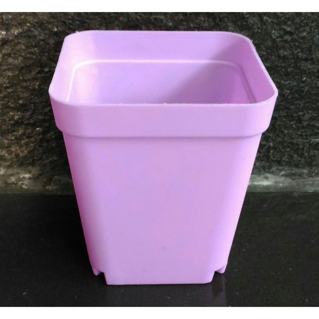 Terlaris Mini Pot Succulent Ungu Grosir