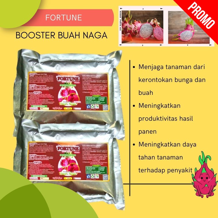 Pupuk Untuk Buah Naga Merah , Pupuk Buah Naga Biar Cepat Berbuah
