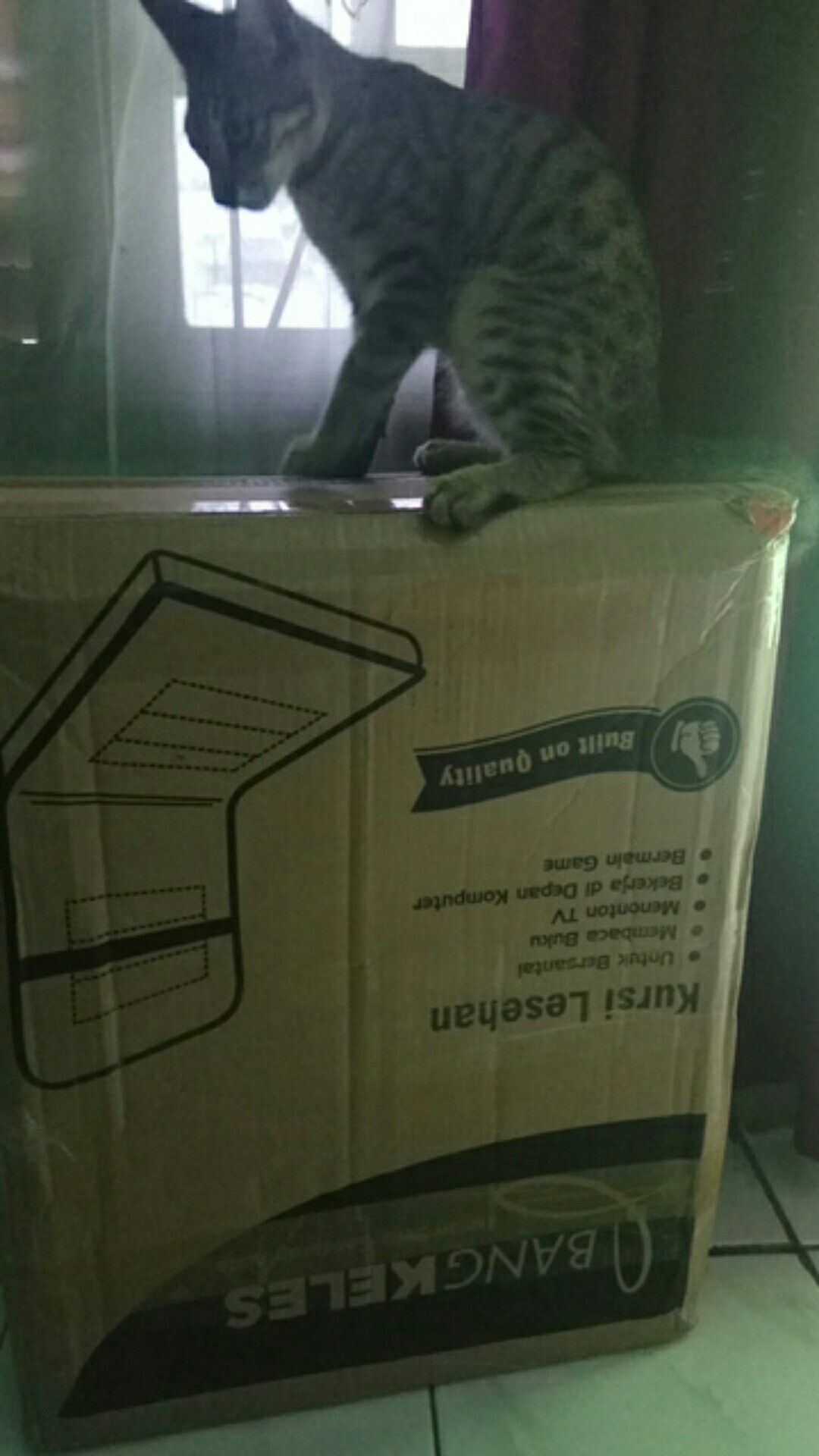 Kursi Lesehan Lipat / Kursi Lipat Lantai / Kursi Lantai Lipat / Kursi Lantai Lesehan