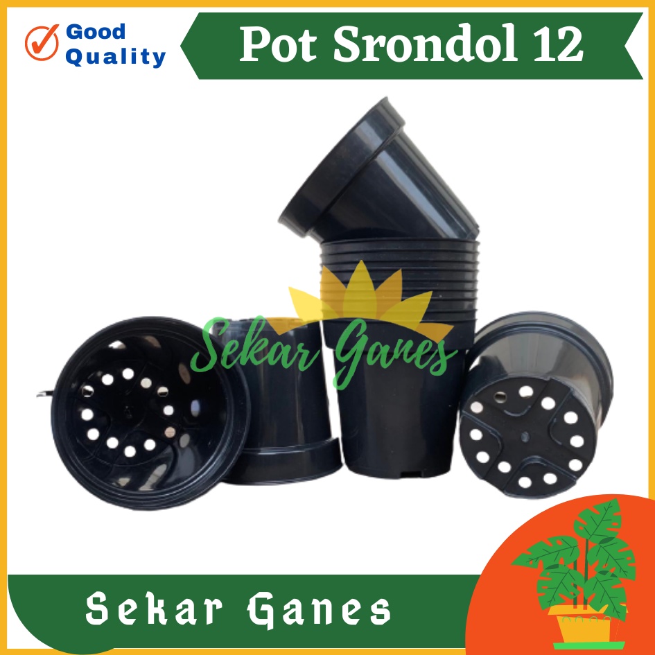 Pot Tinggi Srondol 12 HITAM - Pot Tinggi Usa Eiffel Effiel 18 20 25 Lusinan Pot Tinggi Tirus 15 18 20 30 35 40 50 Cm Paket murah isi 1 lusin pot bunga plastik pot tanaman Pot Bibit Besar Mini Kecil Pot Srondol Pot Bunga Tanaman Termurah Bahan Baguss