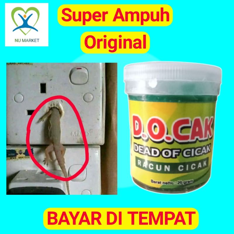 RACUN PEMBASMI CICAK PALING AMPUH OBAT CICAK HERBAL ALAMI ORIGINAL ASLI