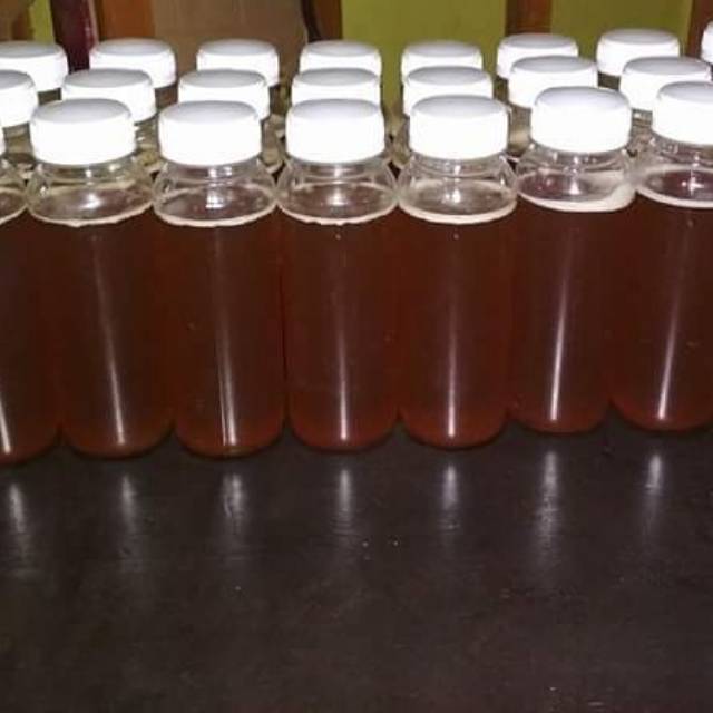 

Madu Hutan Asli 350gr