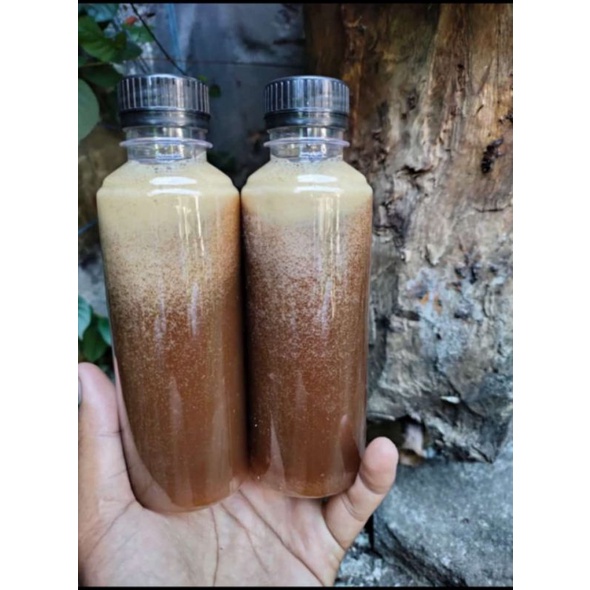 

Madu,klanceng,asli