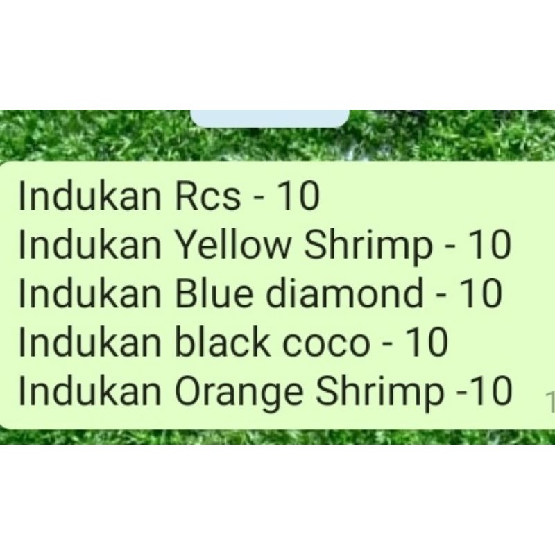 Paket Request Indukan Udang Hias Aquascape
