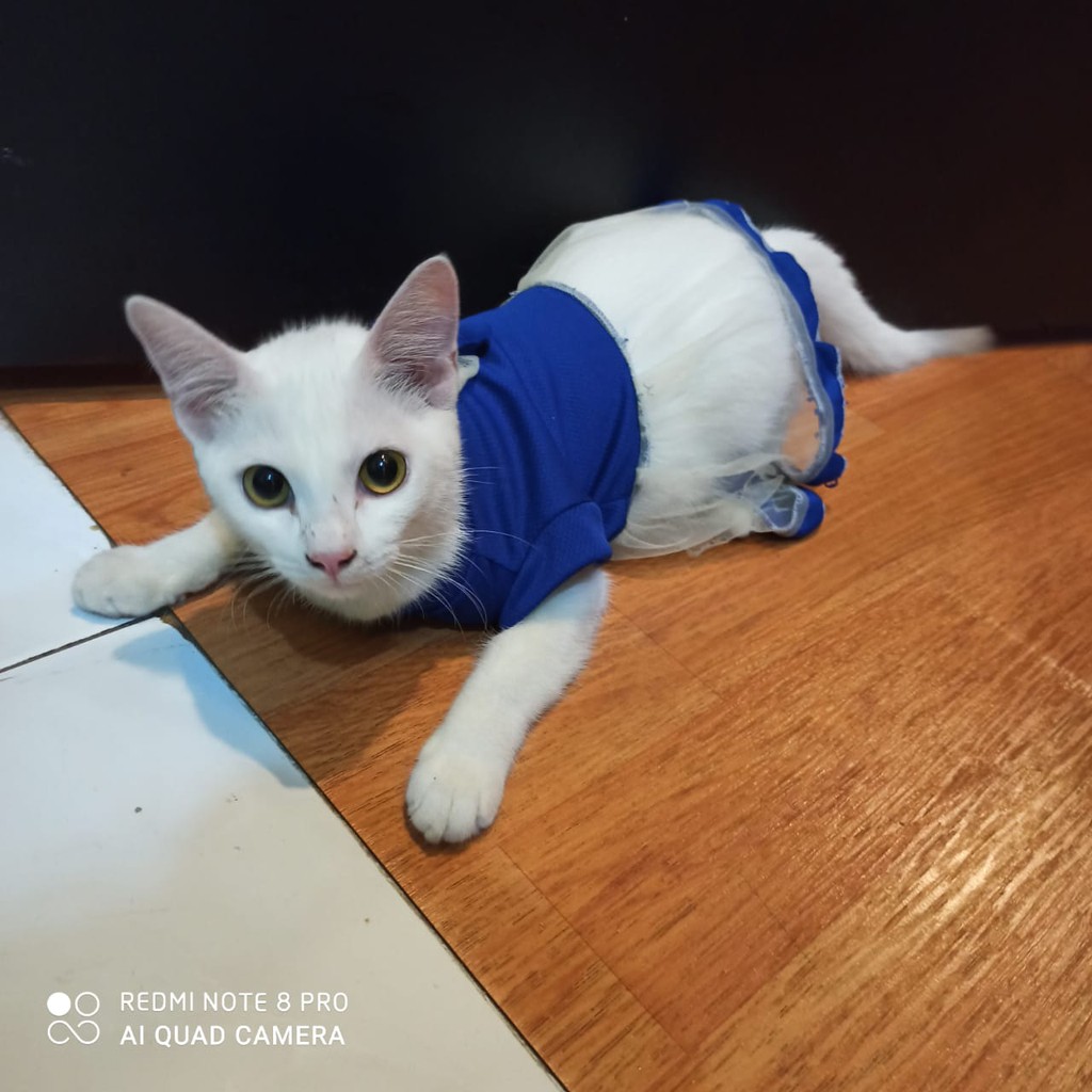 BAJU KUCING MURAH BAJU KUCING LUCU ROK KAOS TILE  AKSESORIS HEWAN