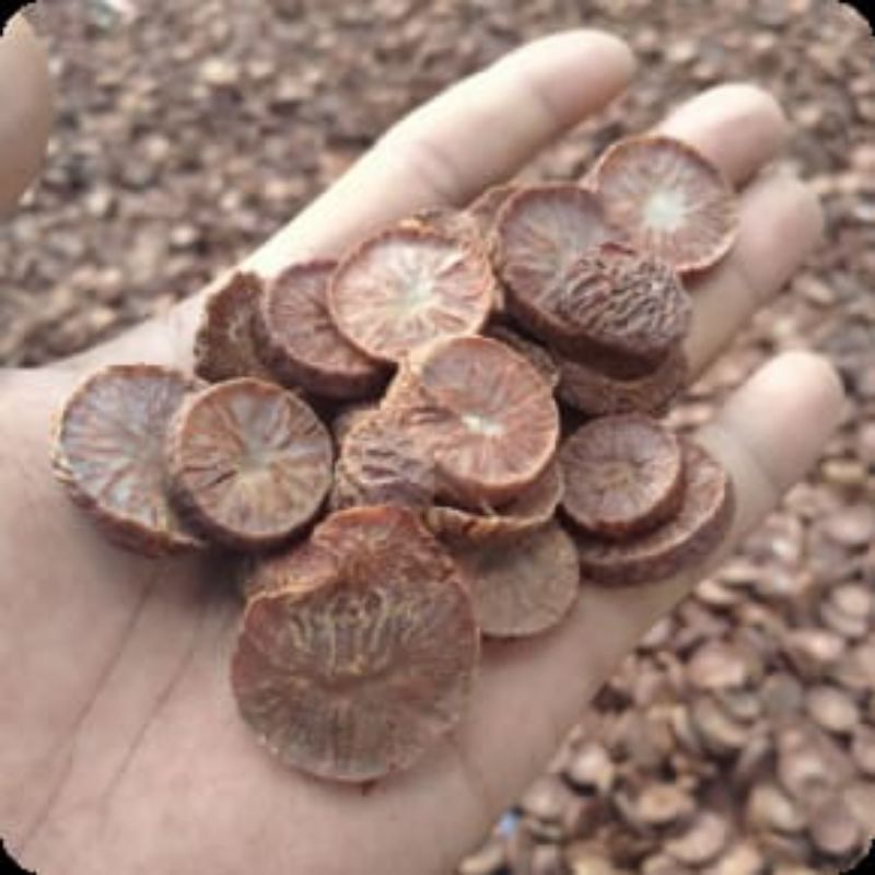 

pinang iris krispy. pinang coin