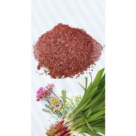 Brambang Dayak / Bawang Dayak Premium