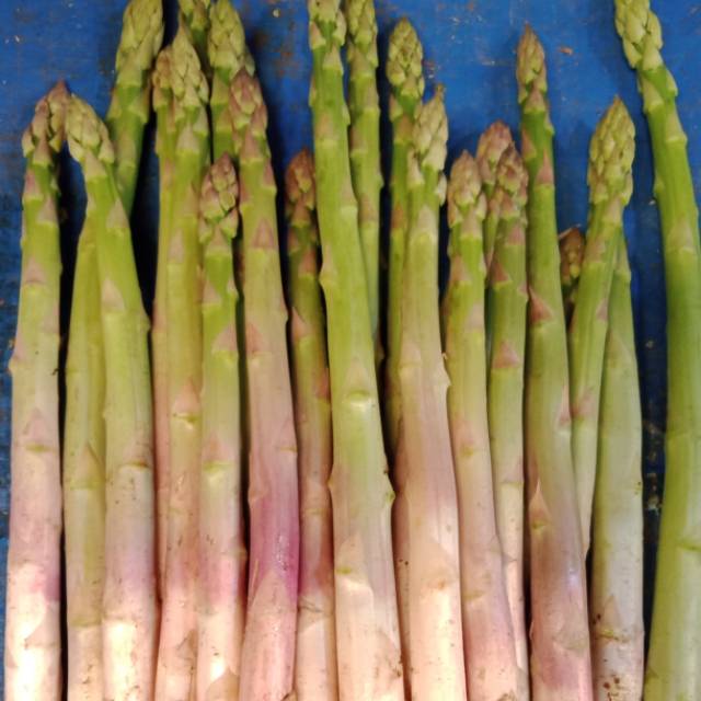 

Asparagus