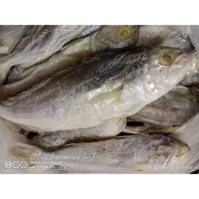 

Ikan Asin Kepala Batu 500 gram