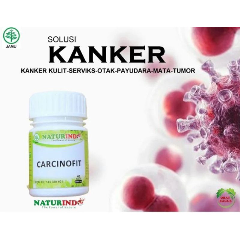 OBAT KANKER PROSTAT KANKER PAYUDARA KANKER HATI KANKER MULUT PALING AMPUH