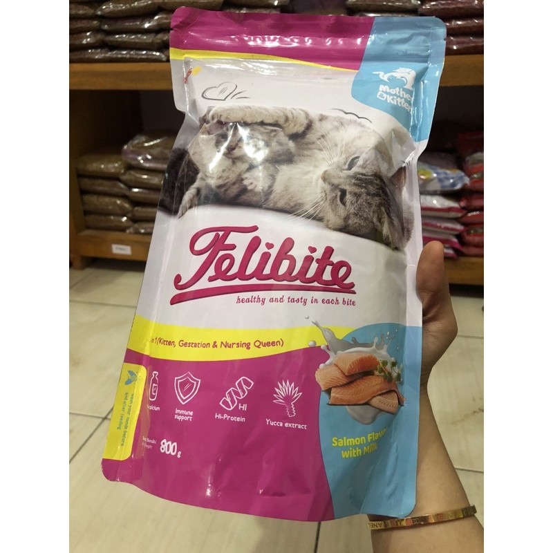 makanan kucing mother & baby cat | makanan untuk kucing melahirkan | makanan untuk bayi kucing