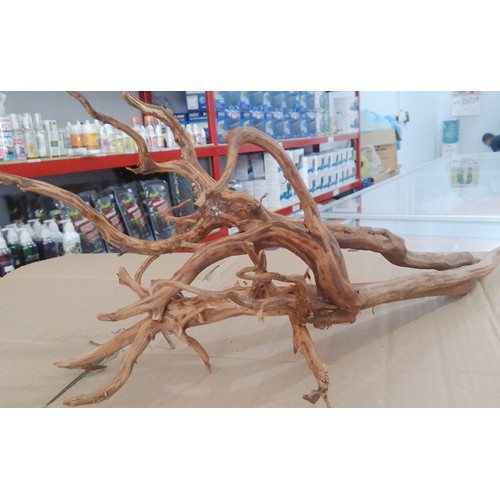 Akar Kayu Rasamala Size L untuk Aquascape Dekorasi Hiasan Aquarium 1pc