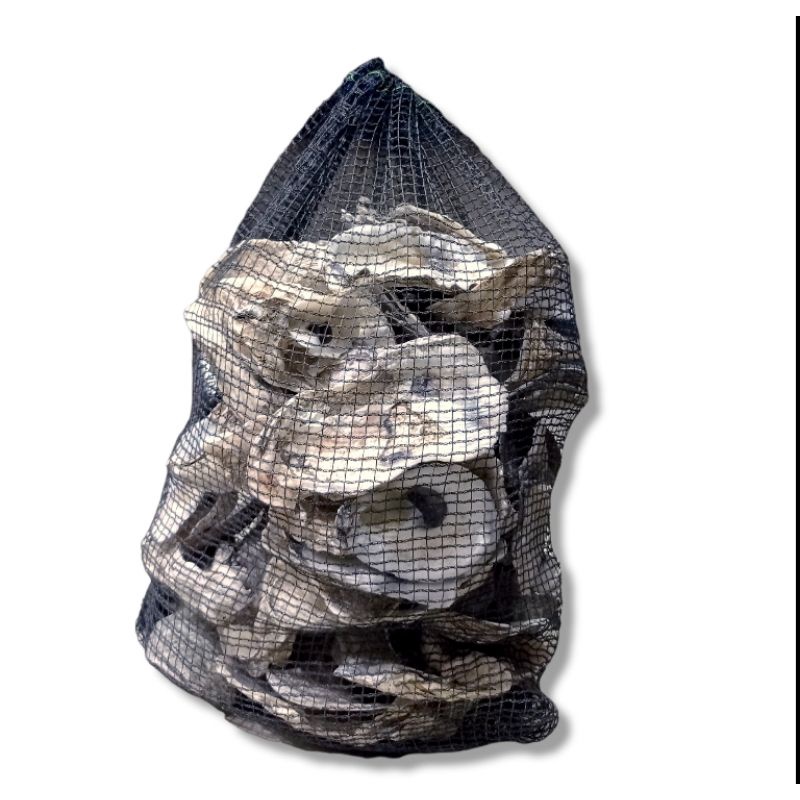 Media Filter KERANG OYSTER 2KG