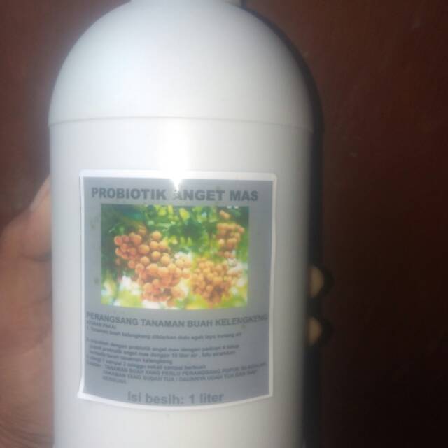 Pupuk perangsang untuk buah kelengkeng