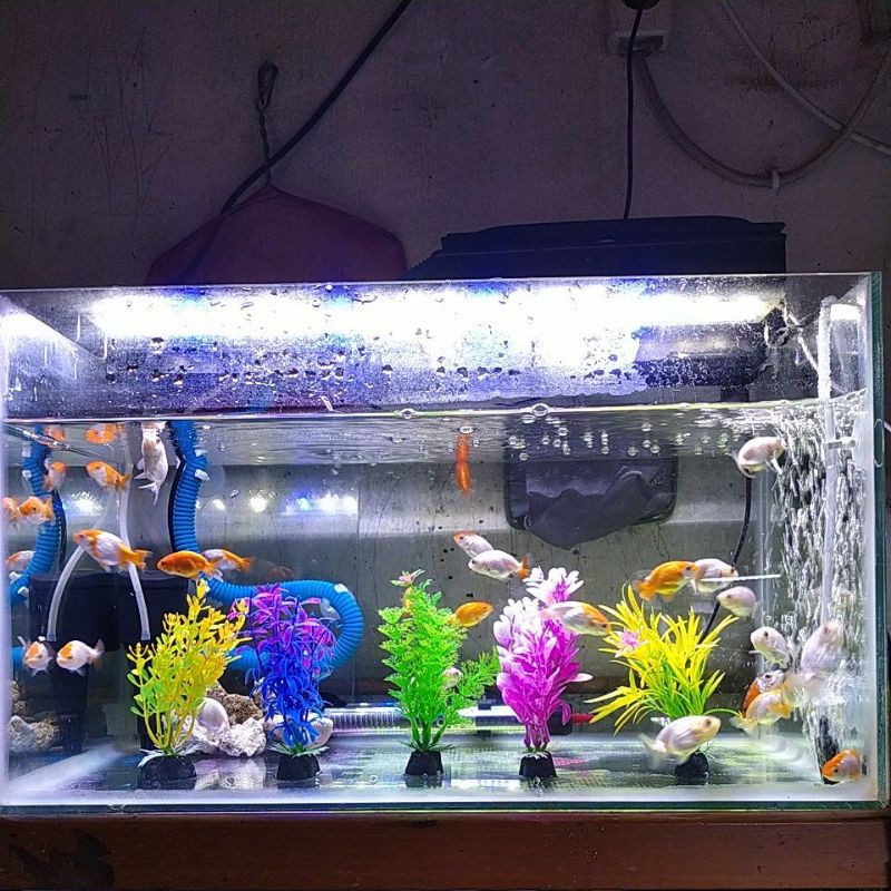 tanaman plastik aquarium tanaman hias aquarium bunga plastik aquarium