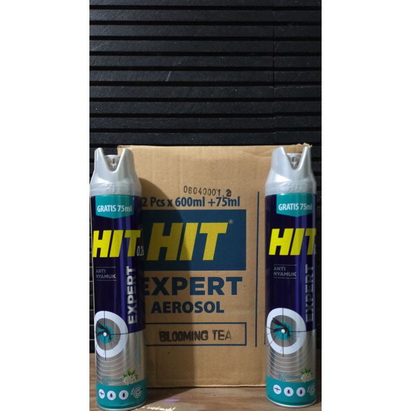 Hit aerosol expert 600ml spray ANTI NYAMUK