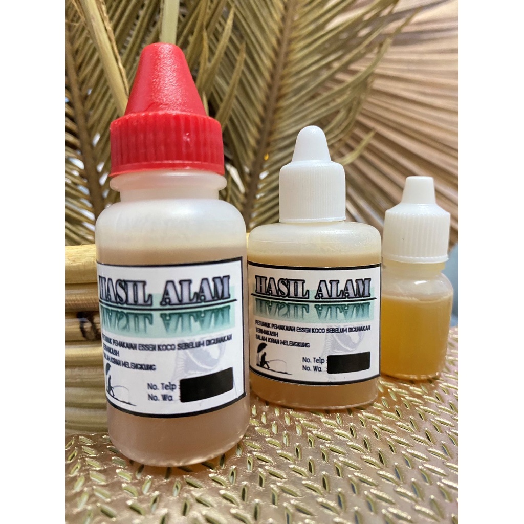 Essen Belut Murni asli asli  murah terbaik paling ampuh jitu gacor terbaik rame babon galatama galap